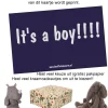 Glückwunschkarte It's a boy- Kuscheltiere < 15 Euro
