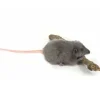 Hansa knuffels Ratte Stofftier Hansa- Kuscheltiere < 15 Euro|Haustiere Umarmen