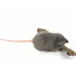Hansa knuffels Ratte Stofftier Hansa- Kuscheltiere < 15 Euro|Haustiere Umarmen